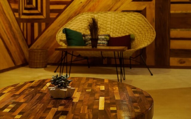 Stay Tropical Downtown Studios