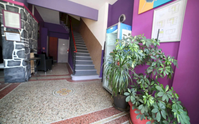 Evelia Hotels