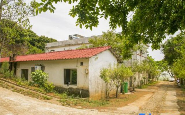 Modong Orchard Farmstay Boluo Luofu Moutain