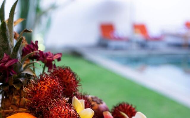 Beautiful Boho-chic 4br Tropical Villa in Pererenan Canggu