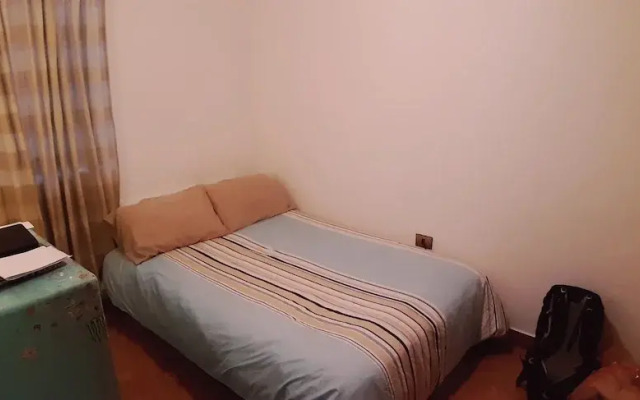 Sebris Cafic Art Gallery House