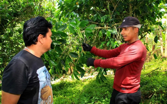 Natura Gardens Galápagos Hotel