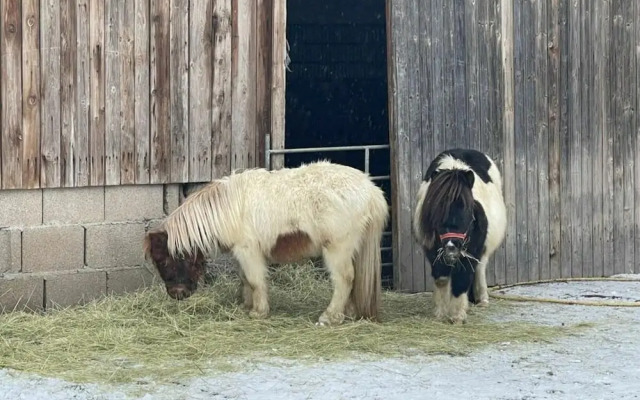 Nice Apartment in Himmelkron