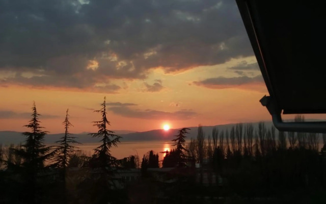 View Topia Apartments