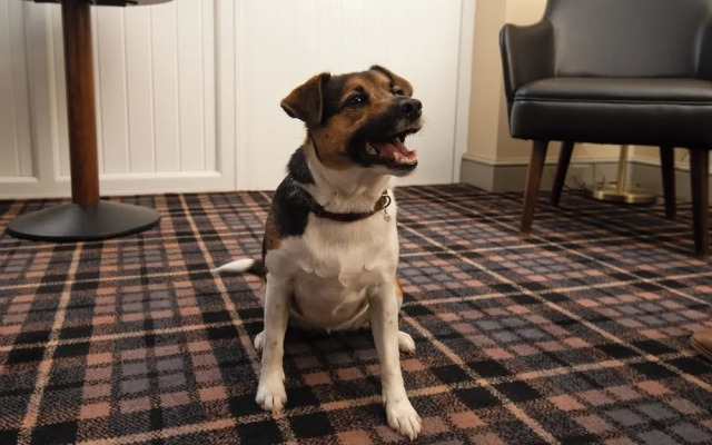 The Amble Inn - The Inn Collection Group