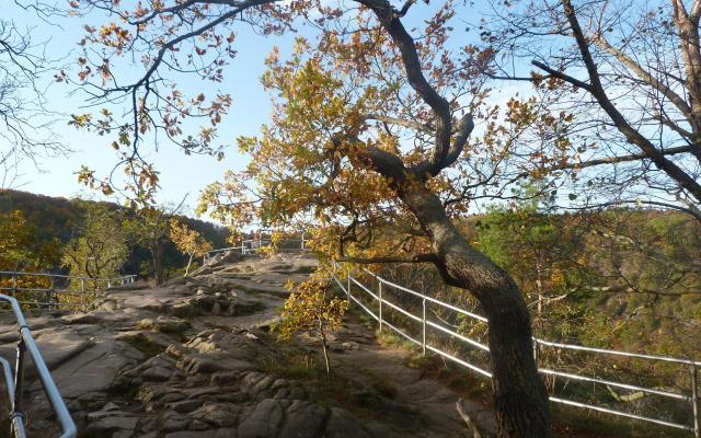 AKZENT Berghotel Rosstrappe