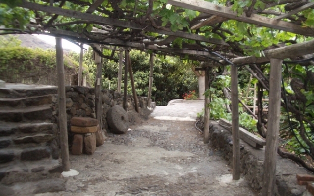 del Lomo