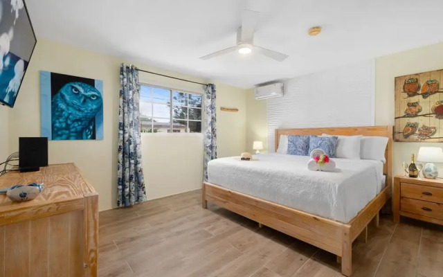 3BR 2BA Near Eagle Beach w Private Pool
