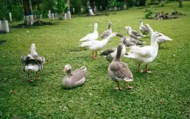 Centro Recreacional Diego Pacho