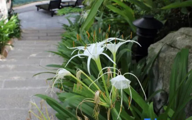 Nanmei Hot Spring Mountain Villa