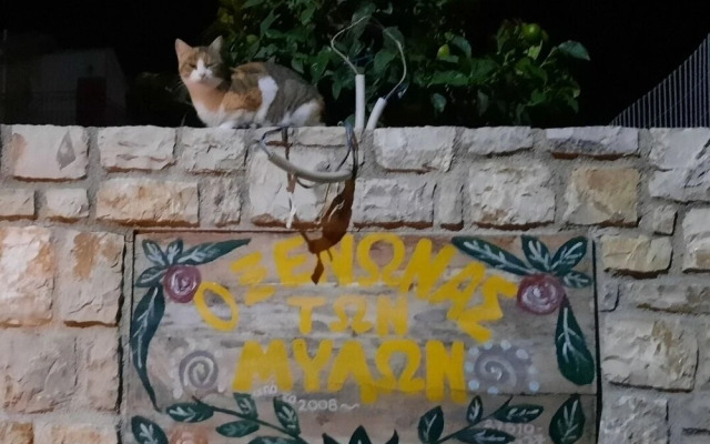 O Xenonas ton Mylon