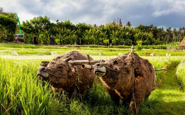 Maha Gangga Valley by ecommerceloka