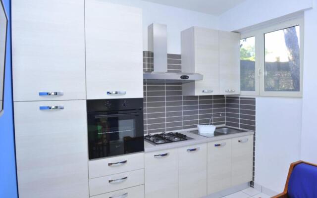 Apartment- Type D