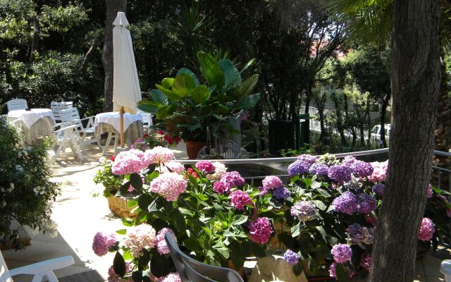 Hotel La Rosa del Tirreno