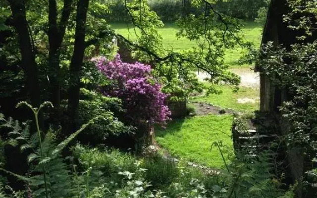The Old Farmhouse