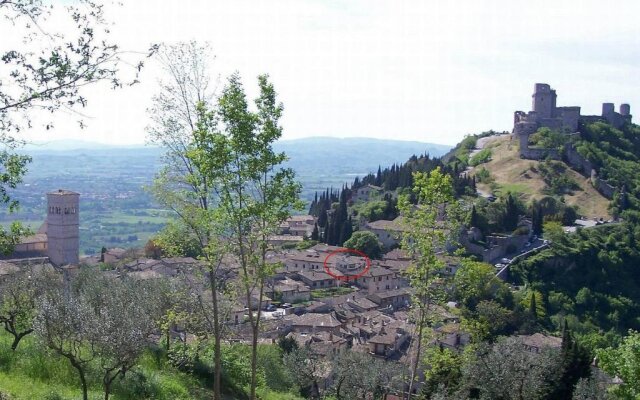 Nice Assisi