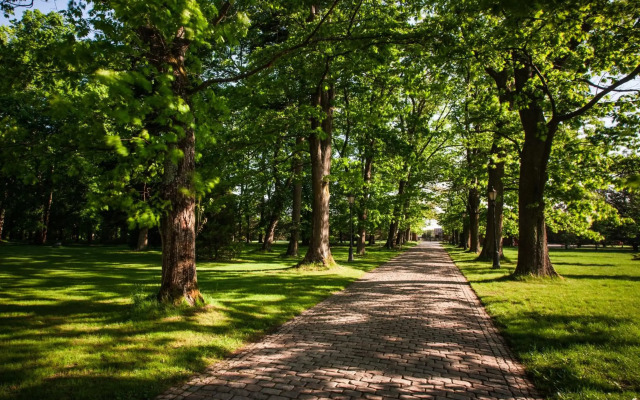 Pałac Ciekocinko Hotel Resort & Wellness