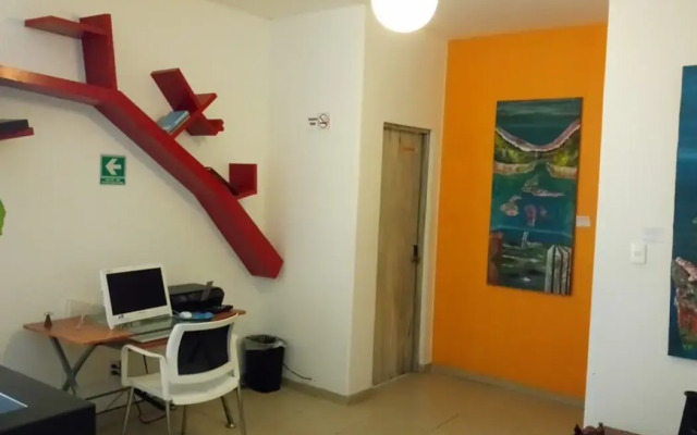 Collection O Casa Anzures Thematic, Mexico City