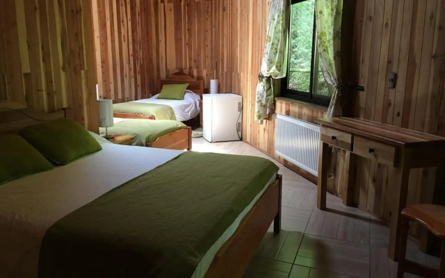 Complejo Turistico Pucon