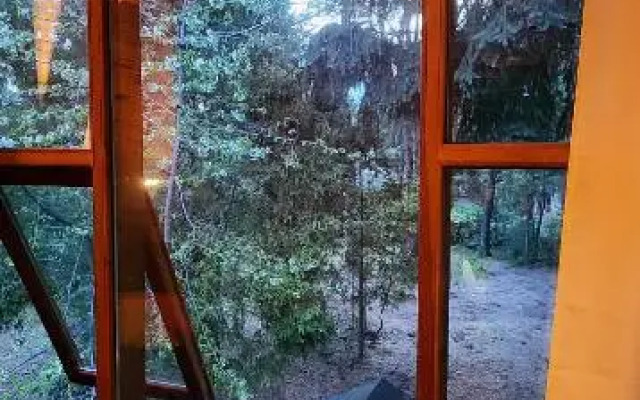 Cabaña Llavu Lemu
