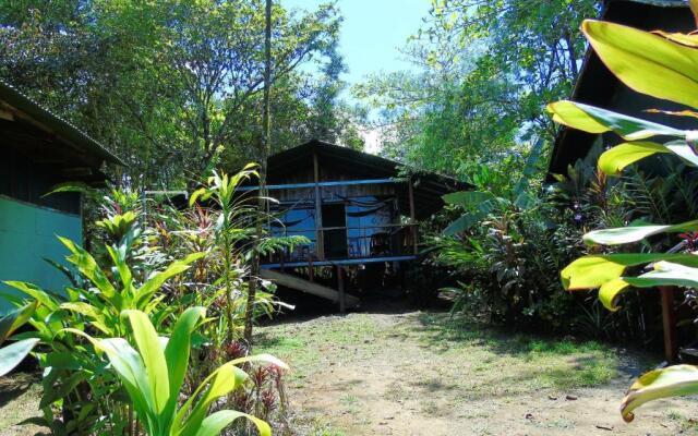Room-bungalow With sea View