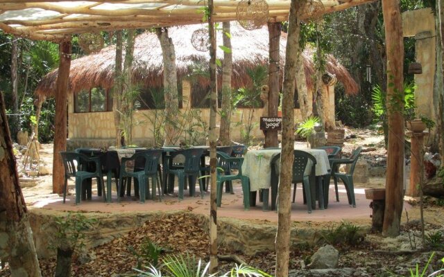 Organic Yoga Mexico