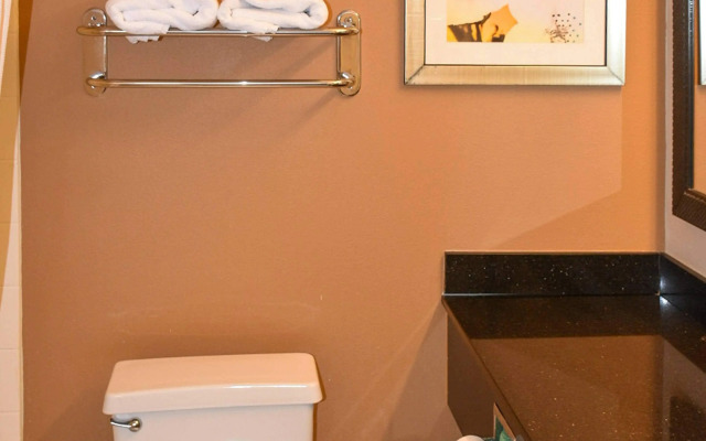 Comfort Inn & Suites Texas City I-45