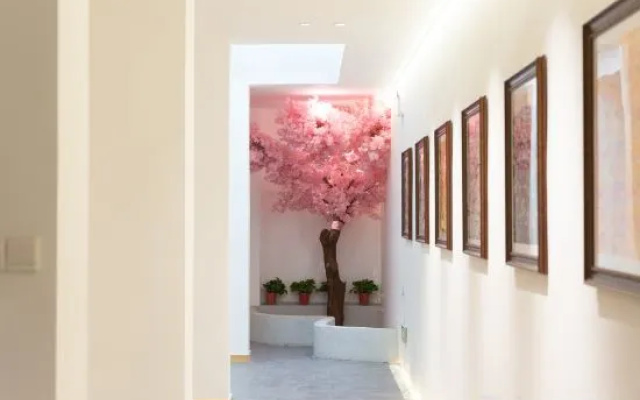 Lanyue Boutique Bed and Breakfast (Yingtianmen Branch, Luoyi Ancient City) – Hotel Rooms – Luoyang