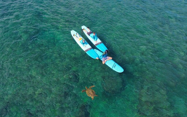 Ocean Bungalows at Turtle Bay Resort