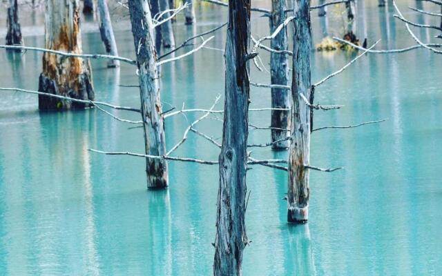 Ueda Building - Vacation STAY 8563