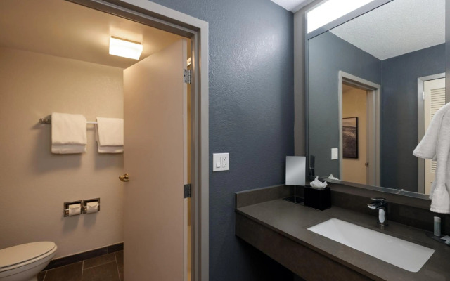 Courtyard by Marriott North Charleston Airport/Coliseum