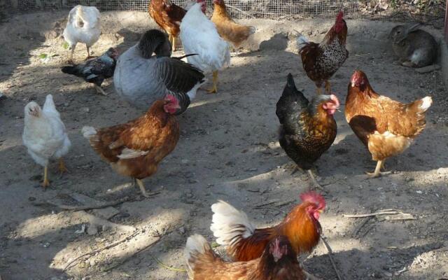 Casa Rural Torre De Campos