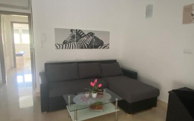 Luxury Apartment Ani with Pool 100m to See