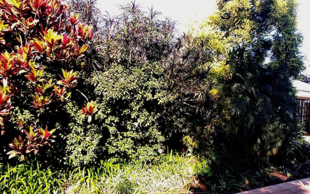 The Wilds Guest House