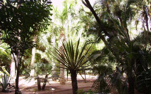 Appart avec vue Jardin-Majorelle