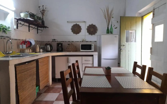 Toca Madera Hostel