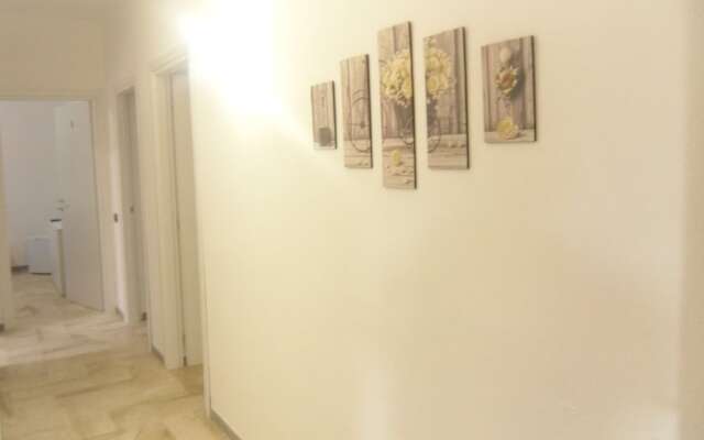 B&B Italia