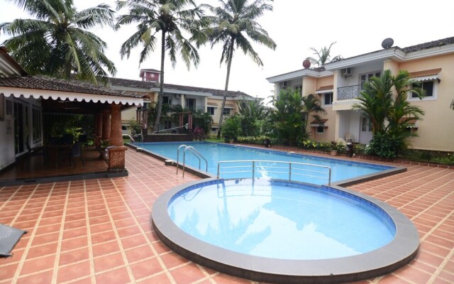 TripThrill Costa Del Sol