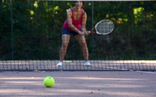 Village Vacances de Chantonnay