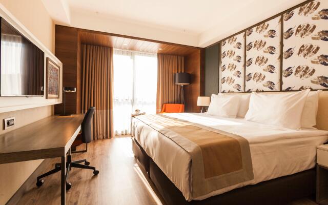 Holiday Inn Kayseri - Duvenonu, an IHG Hotel