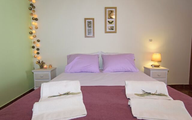 Aoria Traditional House