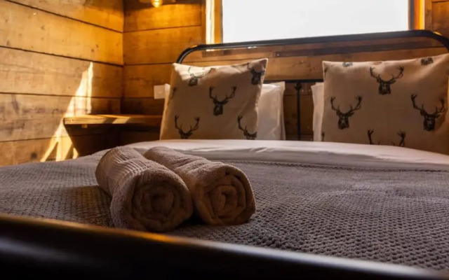 Luxury Safari Lodge Surrounded by Deer!! 'roe'