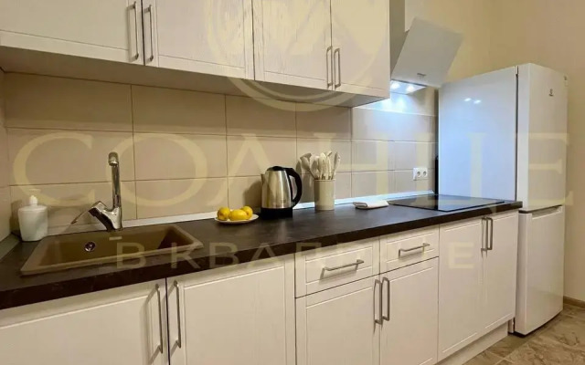 Apartments on Novocheremushkinskaya 56k3 street