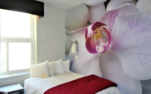 The O Hotel, Trademark Collection by Wyndham