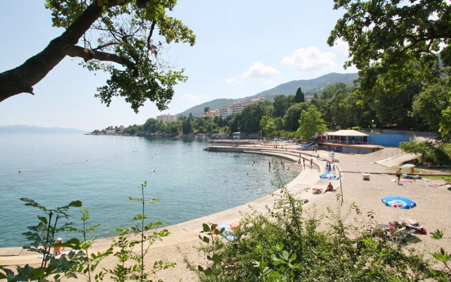 Laurus Tuli Evica in Tuli Evica