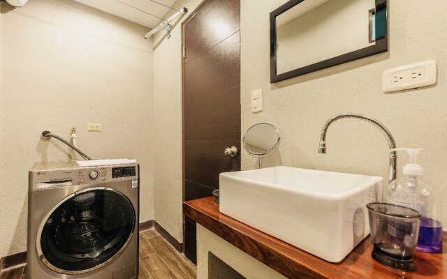 Relaxing Sound of River Birds Squirrels