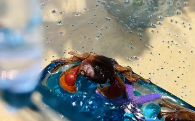 Atour Hotel Beijing Lize Business District City Terminal