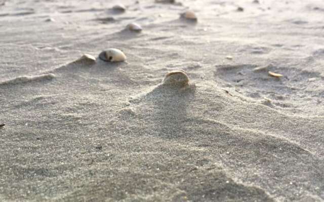 Deichwiege Modern Retreat