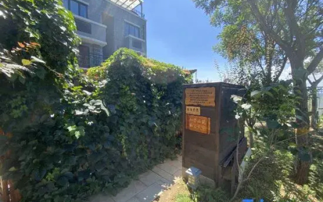 Ordinary And Extraordinary