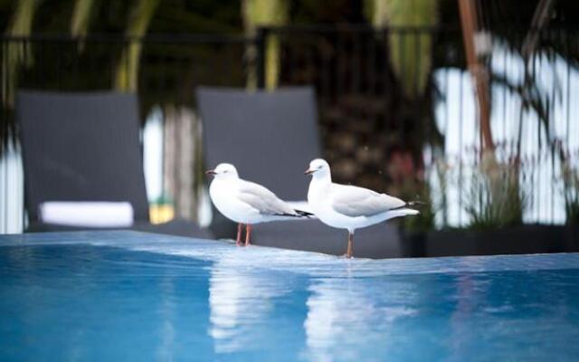 The Bluff Resort Apartments